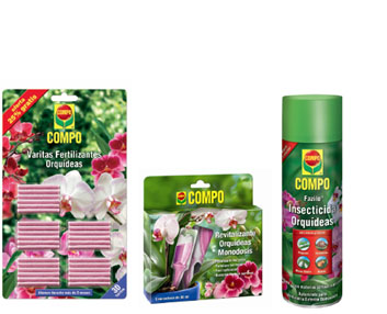 Cuidados específicos para las orquídeas